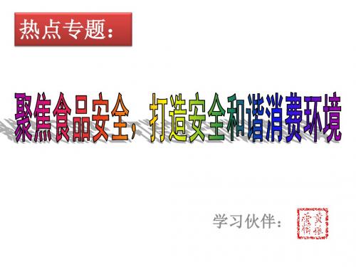 政治思品中考复习——热点专题：食品安全问题