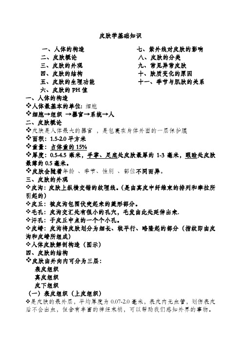 皮肤学基础知识