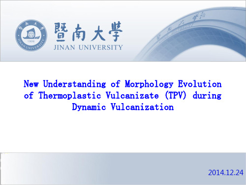 TPV动态硫化机制新理解