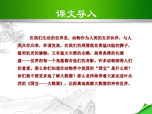 17国宝——大熊猫(苏教版七年级下册语文)【精美课件】