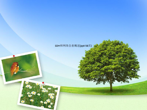 SDH和网络自愈概述(ppt 58页)_520