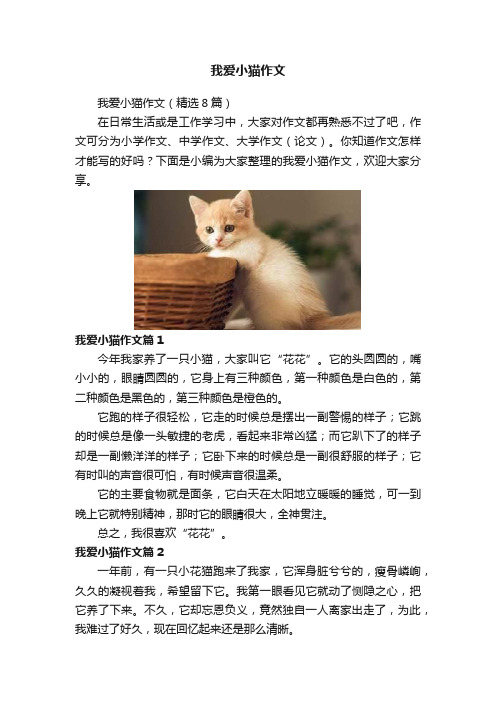 我爱小猫作文