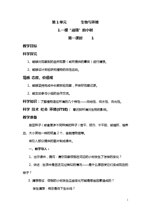 湘科版六年级科学上册全册教案