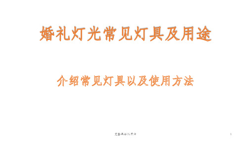 婚礼灯光常见灯具及用途ppt课件