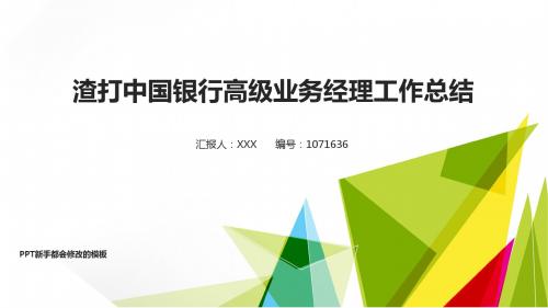 拿来即用-2017-2018年简约绿色自然渣打中国银行高级业务经理年终个人工作总结报告-工作计划-述职报告