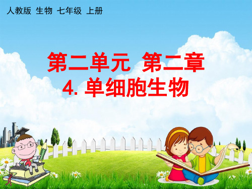 人教版七年级生物上册《2-2-4 单细胞生物》教学课件PPT初一优秀公开课