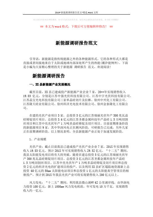 2019-新能源调研报告范文-精选word文档 (6页)