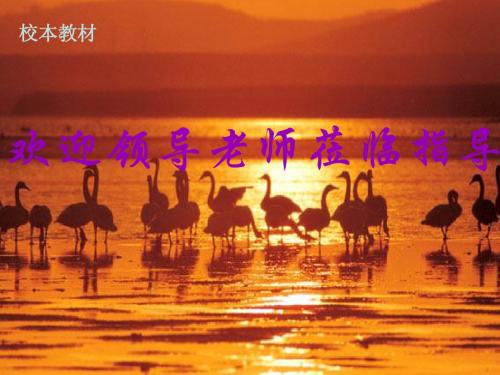 洪河国家级自然保护区