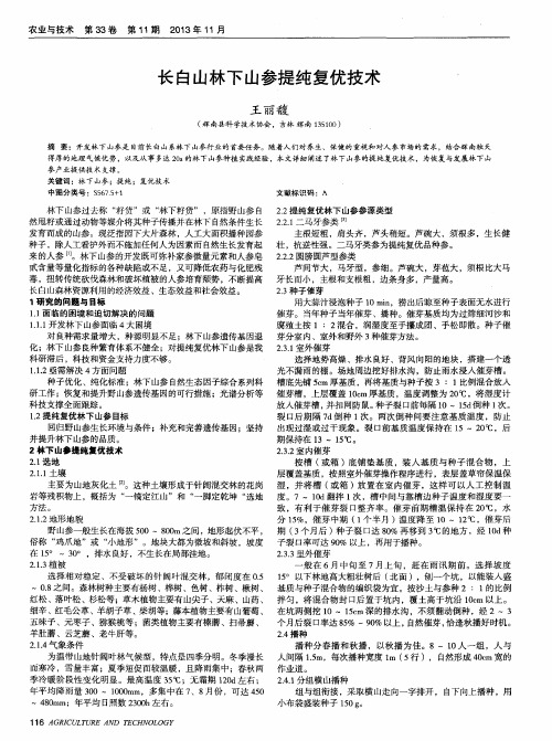 长白山林下山参提纯复优技术