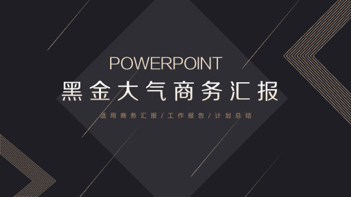 精致黑金工作汇报PPT模板