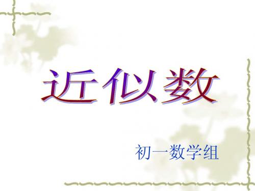 《近似数》2
