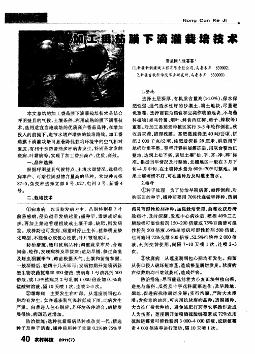 加工番茄膜下滴灌栽培技术