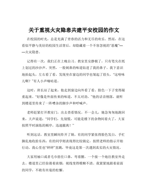 关于重视火灾隐患共建平安校园的作文