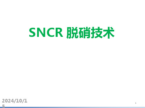 SNCR脱硝工艺介绍PPT课件