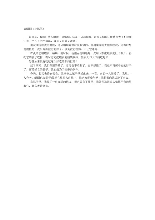 放蝈蝈(小练笔)