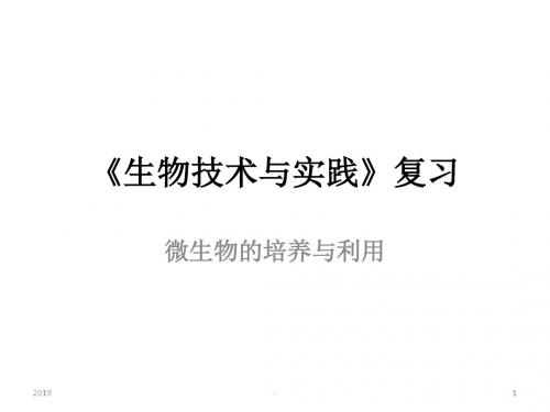 微生物复习ppt课件