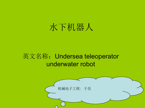水下机器人