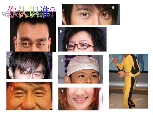 关于细节的写作