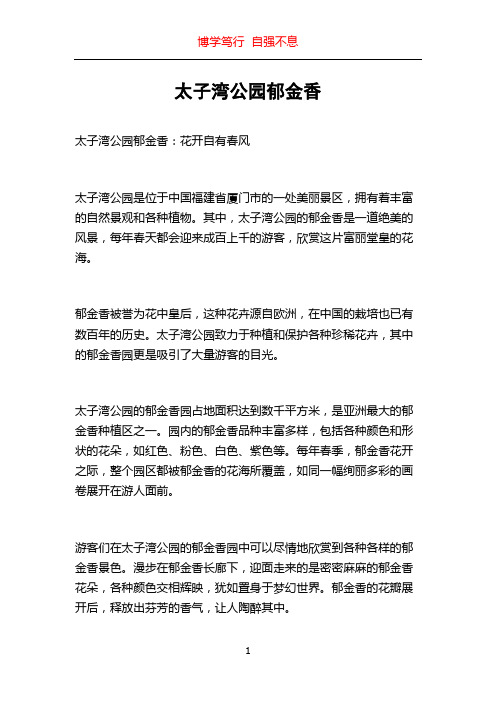 太子湾公园郁金香