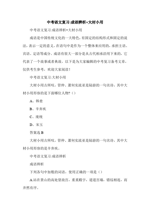 中考语文复习-成语辨析+大材小用