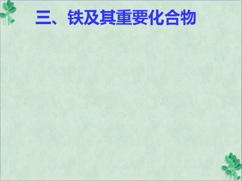 《铁及其重要化合物-》课件