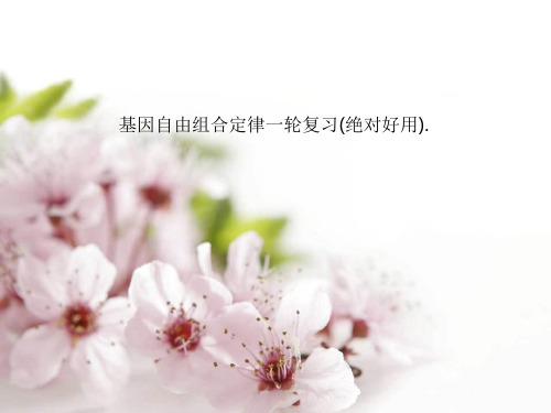 基因自由组合定律一轮复习(绝对好用).