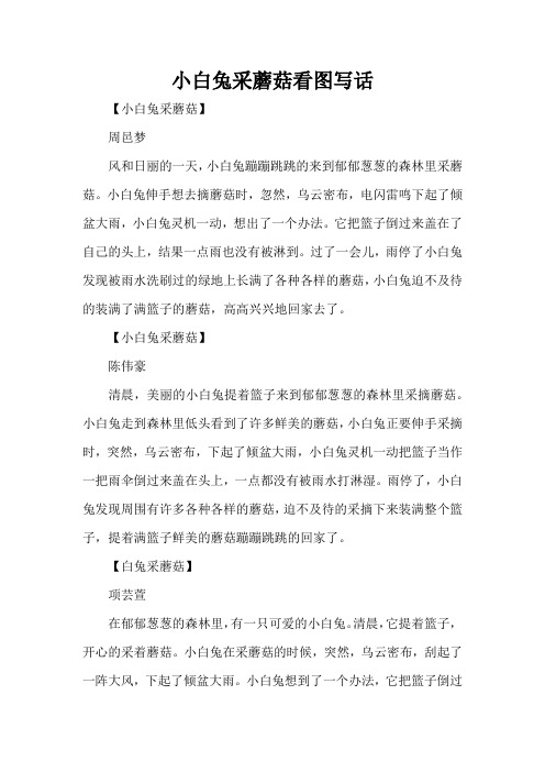 小白兔采蘑菇看图写话_1(精编版)