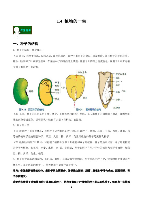 1.4 植物的一生