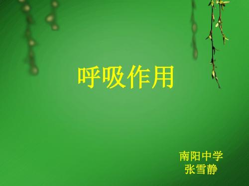 呼吸作用1