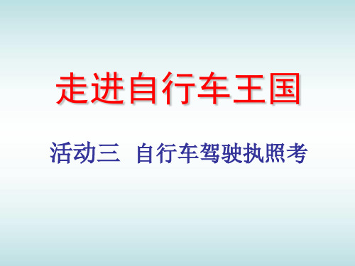 自行车驾驶执照考试 (1)