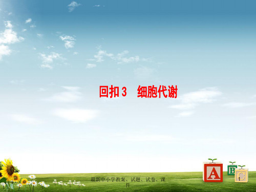 高考生物二轮复习 第3部分 回扣3 细胞代谢课件