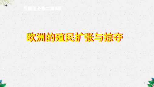 岳麓版高中历史必修二第八课《欧洲的殖民扩张与掠夺》公开课教学课件共26张PPT