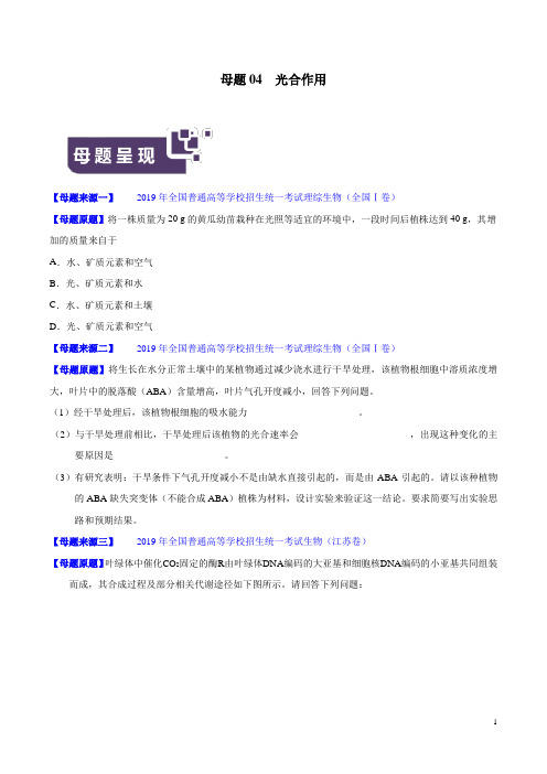 专题04 光合作用-2019年高考生物母题题源系列(原卷版)