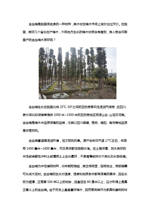 哪里产的金丝楠木最好