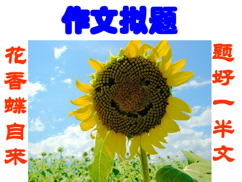 高中作文拟题ppt1