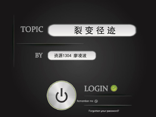 裂变径迹