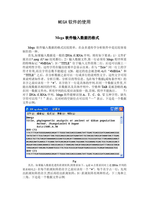 Mega软件的使用1