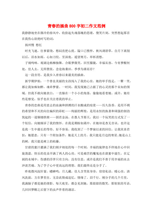 青春的插曲800字初二作文范例