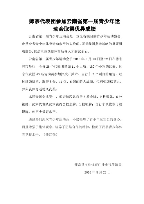 2016年青运会简讯