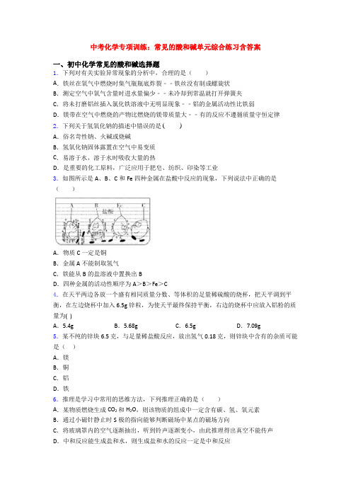 中考化学专项训练：常见的酸和碱单元综合练习含答案