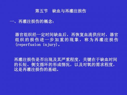 缺血再灌