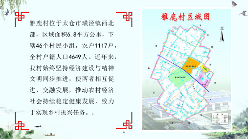 乡村振兴汇报ppt课件
