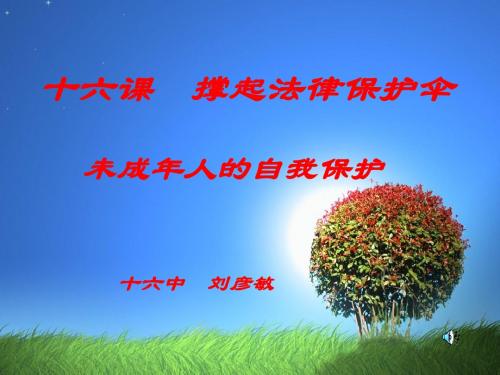 未成年人的自我保护PPT课件2 鲁教版(24张)