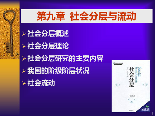 社会学概论第九章 社会分层与流动PPT课件