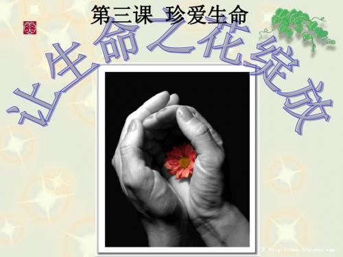 人教版七上第三课第三框让生命之花绽放(共30张PPT)