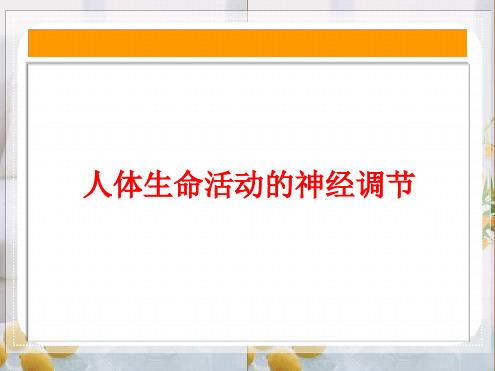 八年级下册科学课件 72人体生命活动的神经调节课件2华东师大版