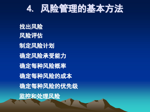 【推荐】处理风险的手段与方法详述(优质PPT课件 35页)