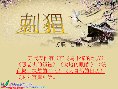 18《刺猬 1》PPT课件