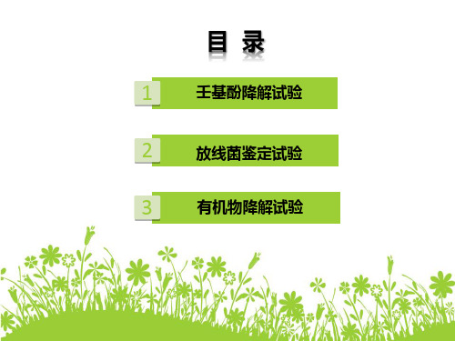 壬基酚降解试验
