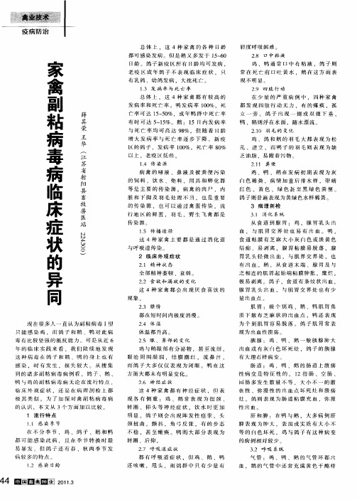 家禽副粘病毒病临床症状的异同